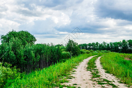 自然绿色道路至图片