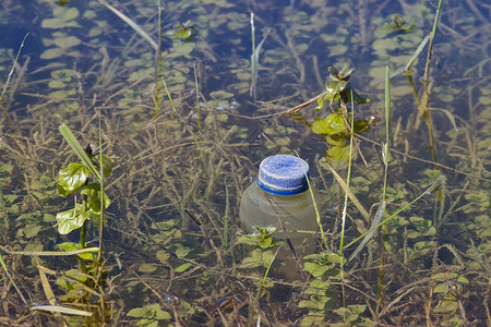 漂浮在湖中的塑料垃圾图片