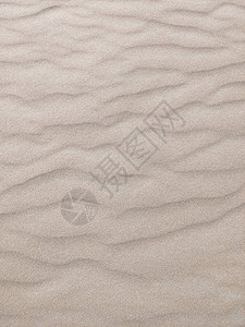 沙漠质地观的波浪非洲沙哈拉沙丘图片