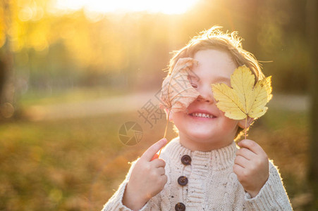 快乐的小孩男孩在秋天在大自然走在户外图片