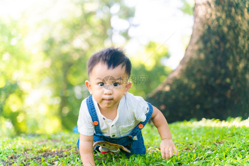 可爱的10个月的婴儿男孩爬在树下城市图片