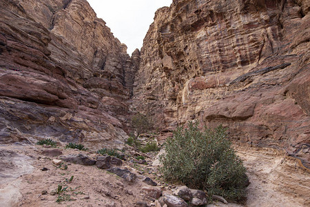 约旦的落岩沙石山地貌在约旦佩特拉高清图片