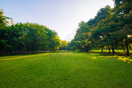 日落公园绿草坪与树城公园图片