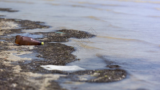 生态灾难肮脏的海滨和塑料瓶垃图片