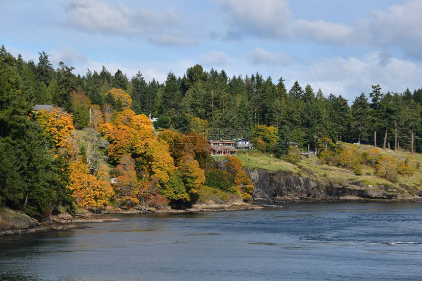环绕着美丽的秋色和长青的倾斜房屋加拿大不图片