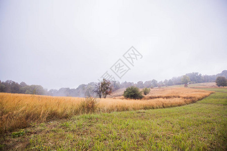 农村领域景观风景朦胧的秋日图片