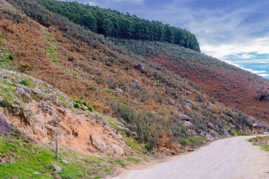 山坡的秋季景观Gredos山脉在Freillo中挤满了松树2018年12月15日ElRasoAvilaCastillaLeon西图片