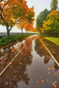 十月公园里的雨纹理图片