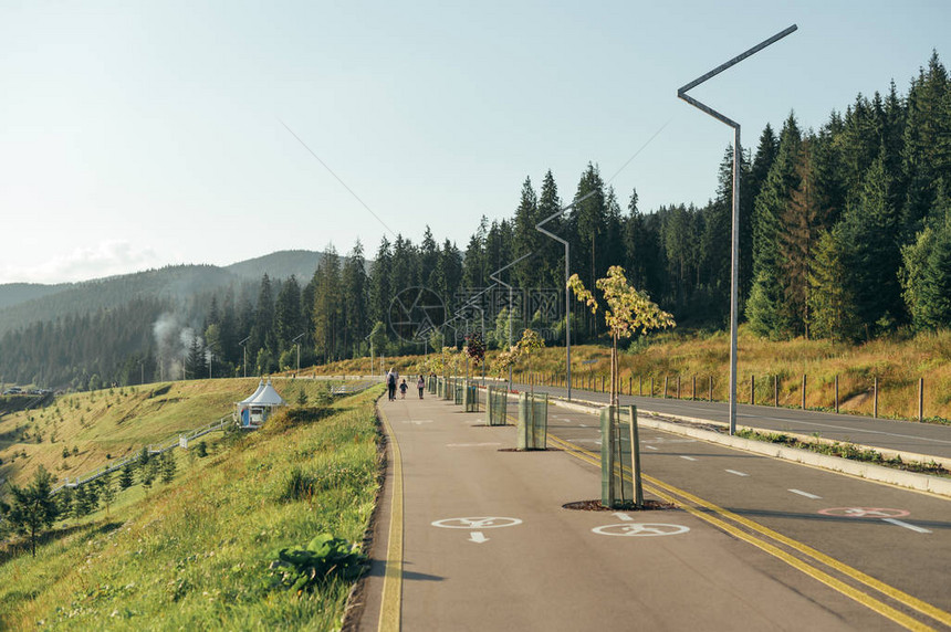 山林间道路的图片山区和针叶林中自行车道和人行道的照片山林中阳光明媚的日子令人叹图片