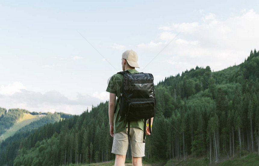 享受针叶林风景和山图片