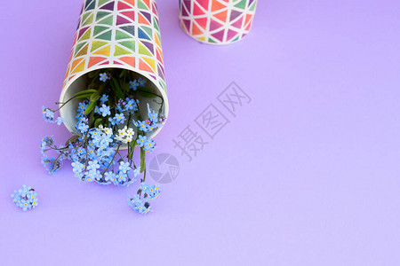 紫色背景上的玻璃杯中的花朵鲜切紫丁香花五颜六色的菜肴图片