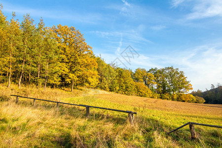 秋景中的木畜栏蓝天白云图片