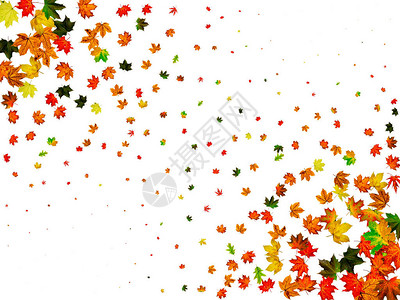 秋叶背景十月的下降模式孤立在白色上图片