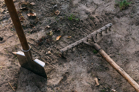 园艺工具在泥炭背景上图片