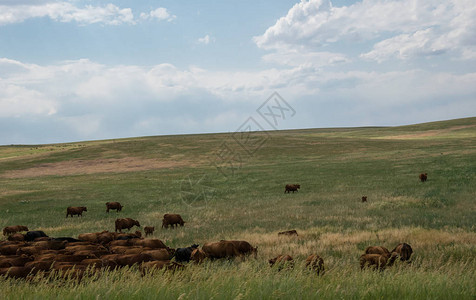 美国科罗拉多州农村地貌农图片
