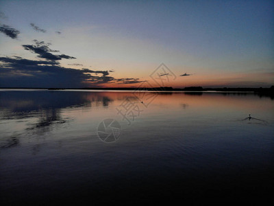 与鸭子在湖上的日落在河上的黄昏图片