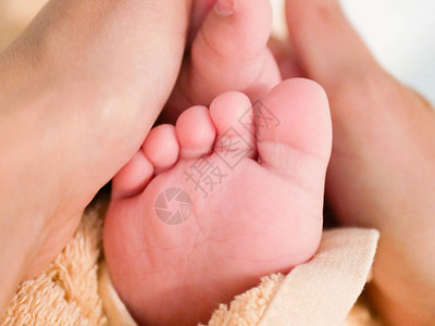 妈手上的孩子的腿新生儿脚的照片图片