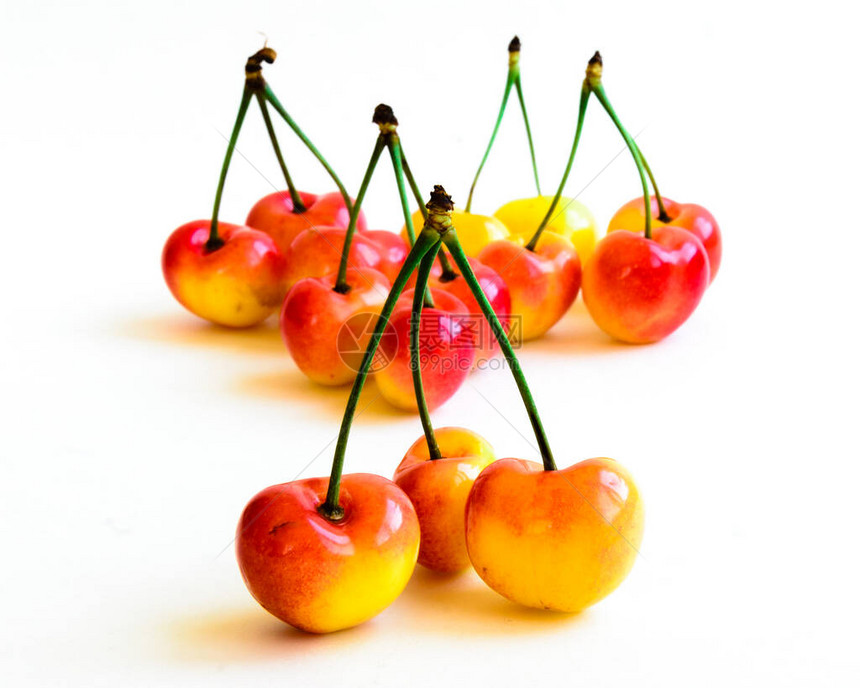 美国华盛顿州YakimaValley种植的新鲜有机樱桃这块红樱桃以白色背景与图片