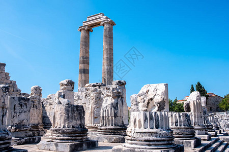 土耳其艾登镇Didim阿波罗寺的废墟图片
