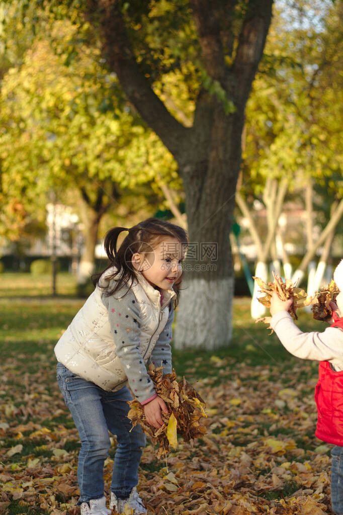 一个快乐的孩子散布着黄色落叶的有害物质秋天图片