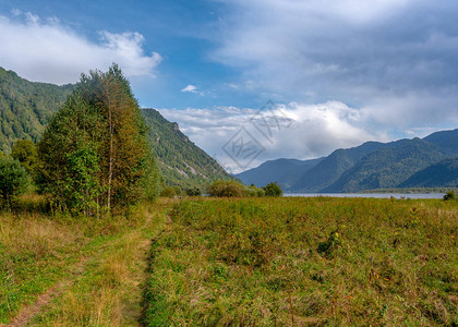 Altai山区Telettskoye湖附近田地间道路的景观图片