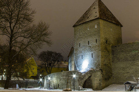 塔林少女塔的夜景爱沙尼亚图片