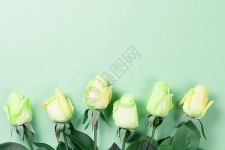 绿色背景的一束花朵图片