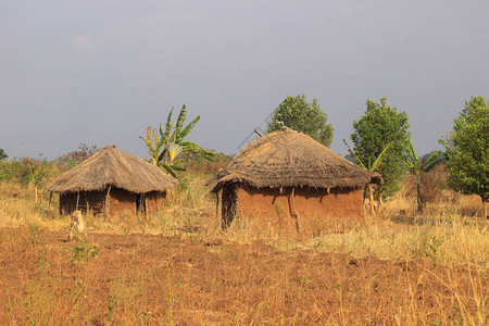 乌干达一个传统的贫穷非洲村庄图片