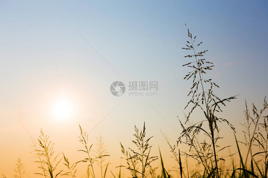 太阳光和蓝天空背景的图片