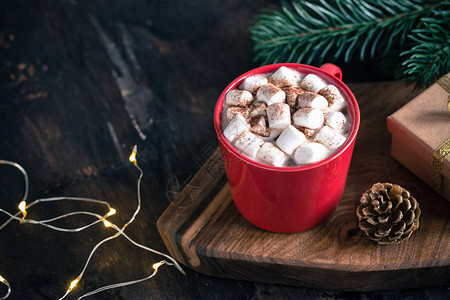 圣诞饮料热巧克力或可棉花糖和松树枝圣诞节冬图片