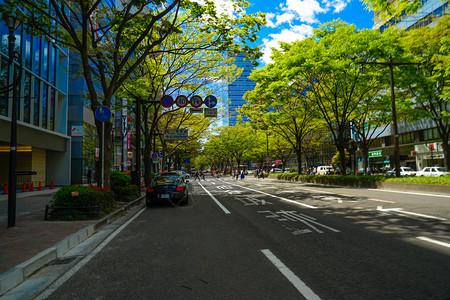仙台定禅寺街的新绿高清图片