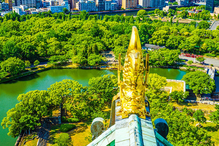 大阪城天守阁的风景高清图片