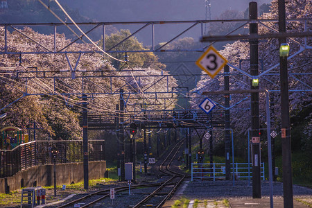 春山田站Kanagawaashigara背景图片