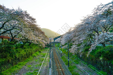 春山田站Kanagawaashigara背景图片