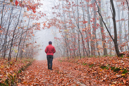 一个穿红色夹克的女人走过一条森林通道图片