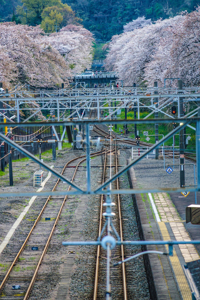 春山田站Kanagawaashigara图片