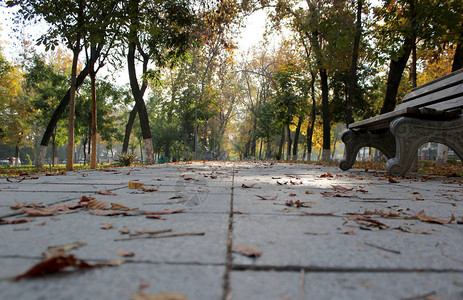 秋季城市公园场景秋天的城市秋天的城市场景图片
