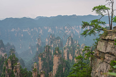 在湖南省伍林源Wwlingyuan著名的旅游景点张家吉公园天津山石柱图片