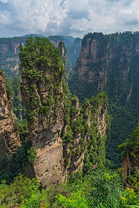 张家界阿凡达山自然公园从迷人的台地观点看垂直的岩溶柱状岩层图片