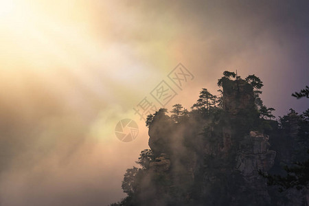 张家界阿凡达山自然公园天子山岩溶柱顶的背景图片