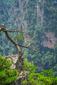 在湖南省伍林源Wwlingyuan著名旅游景点张家江公园天津山石柱上图片