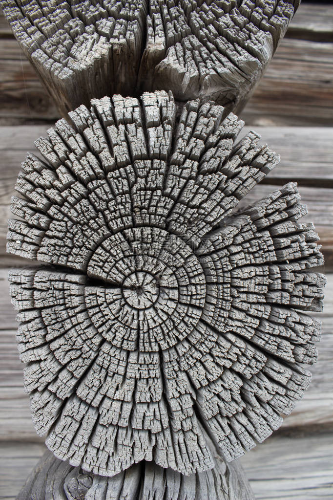 原木屋墙的一块碎片旧木头的尽头天然木图片