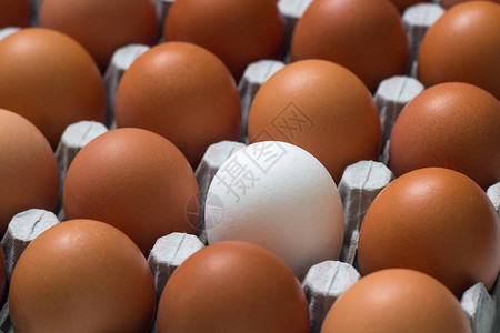 纸板箱里的鸡蛋白质食物鸡蛋是白质含量的标准对比高清图片