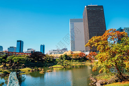 秋天在日本东京的日本传统花园KyuShibaR图片