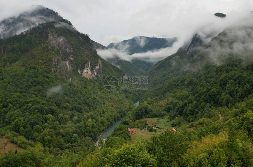 黑山Durmitor公园的Tara河峡谷森林T图片