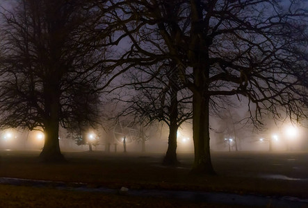 公园里黑暗潮湿和雾密的夜晚图片