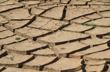 旱季的裂开土壤图片