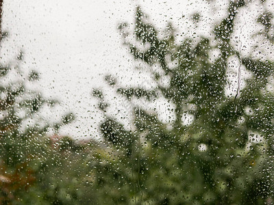 玻璃上的雨滴阴雨天气在自然模糊的背景下秋日窗上的雨滴图片