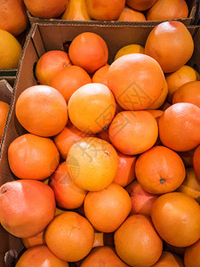 在市场的盒子里成熟的新鲜葡萄柚秋收有机食品水果销售的概图片