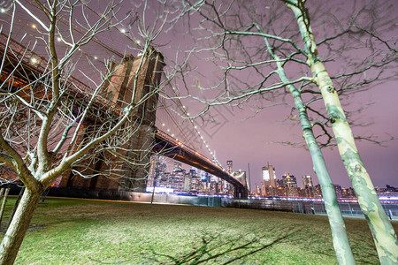 从布鲁克林大桥公园看纽约布鲁克林大桥的夜景城市天际线和树木在一图片